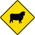 Watch for animals (sheep)