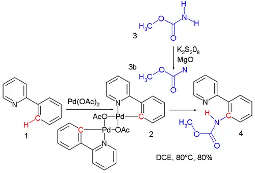 Nitrene amidation