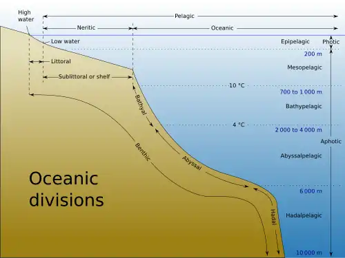 Image 42Oceanic fish inhabit the oceanic zone, which is the deep open water which lies beyond the continental shelves. (from Pelagic fish)