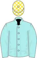 Pale blue, white and yellow check cap