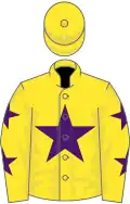 Yellow, purple star, stars on sleeves