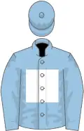 Light blue, white hollow box