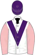 Dark blue and purple stripes, dark blue sleeves, yellow armlets, dark blue and purple hooped cap
