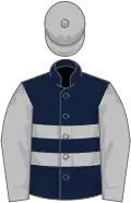 Dark blue, two silver hoops, silver sleeves and cap
