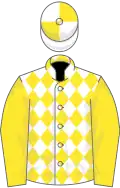 White and yellow diamonds, yellow sleeves, quartered cap
