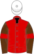 Red, Brown sleeves, Red armlets, White cap