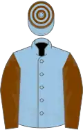 Light blue, Chocolate sleeves, hoopeed cap