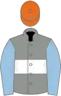 Grey, white hoop, light blue sleeves, orange cap
