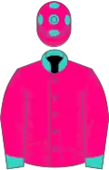 Rose du barri, turquoise collar, cuffs and spots on cap