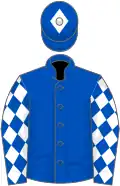 Blue, white sleeves, blue diamonds, blue cap, white diamond