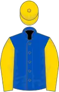 Royal blue, gold sleeves and cap