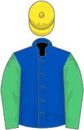 Royal blue, emerald green sleeves, yellow cap