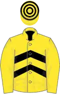 Yellow, black chevrons, yellow sleeves, hooped cap