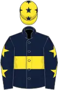Dark blue, yellow hoop, dark blue sleeves, yellow stars, yellow cap, dark blue stars