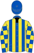 Royal blue and yellow stripes, checked sleeves, royal blue cap