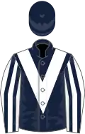 Dark blue, white chevron, white and dark blue striped sleeves