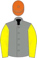 Grey, lemon sleeves, orange cap