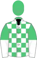 Emerald green and white check, halved sleeves, emerald green cap