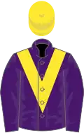 Purple, yellow chevron and cap