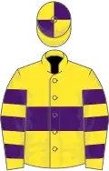 Yellow, purple hoop, hooped sleeves
