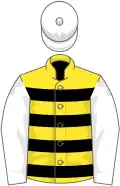 Yellow and dark bluehoops, white sleeves and cap