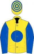 Yellow, royal blue disc and sleeves, hooped cap