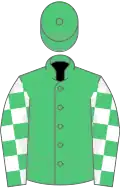 Emerald green, emerald green and white check sleeves