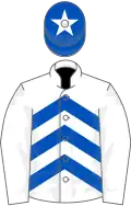 White, royal blue chevrons, royal blue cap, white star
