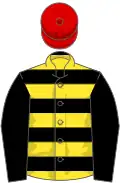 Black and yellow hoops, black sleeves, red cap