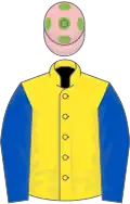 Yellow, royal blue sleeves, pink cap, light green spots