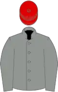 Grey, Red sleeves Grey chevrons, Red cap