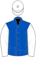 ROYAL BLUE, white sleeves and cap