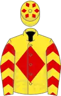 YELLOW, red diamond and chevrons on sleeves, yellow cap, red diamonds