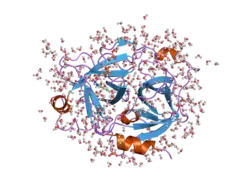 2any: Expression, Crystallization and the Three-dimensional Structure of the Catalytic Domain of Human Plasma Kallikrein: Implications for Structure-Based Design of Protease Inhibitors