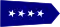 Government Protection Bureau Captain