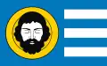 Flag of Gmina Brzozów