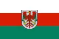Flag of Choszczno