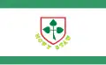 Flag of Gmina Nowy Staw