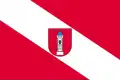 Flag of Gmina Wieluń