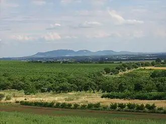 View from Dolní Kounice to the southeast
