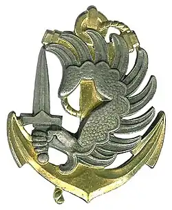 Current Beret badge worn by the Marine paratroops