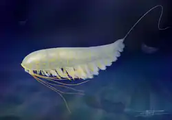 Life restoration of Lomankus