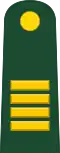 Mayor (Peruvian Army)[68]