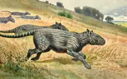 Image 31Restoration of Phenacodus (from Evolution of the horse)