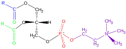 Phosphatidyl choline