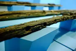 Some of the remains of the Butuan Balangay (689-988 AD), a National Cultural Treasure