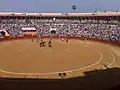Bullfight.