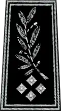 Directeur des services actifs (Director of the Active Services) Equivalent of a Deputy Commissioner in London in a British-style police force
