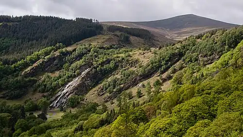 Powerscourt Waterfall and Crone Woods