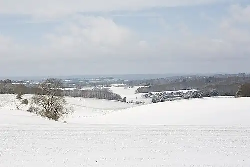 Preshaw Down
